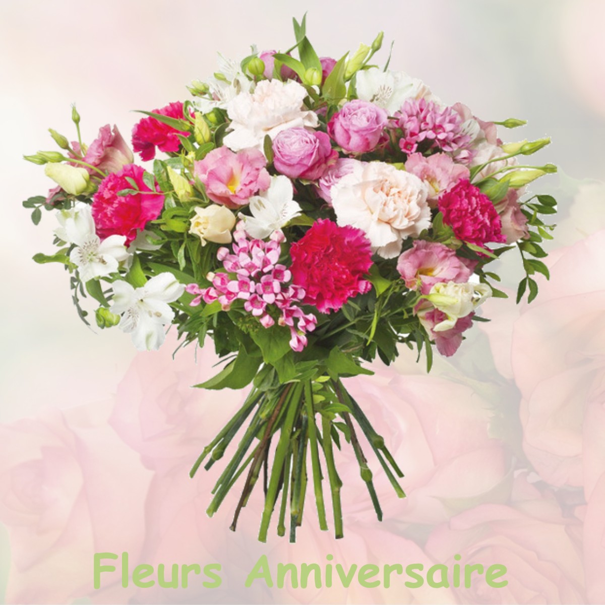 fleurs anniversaire LA-BRUYERE